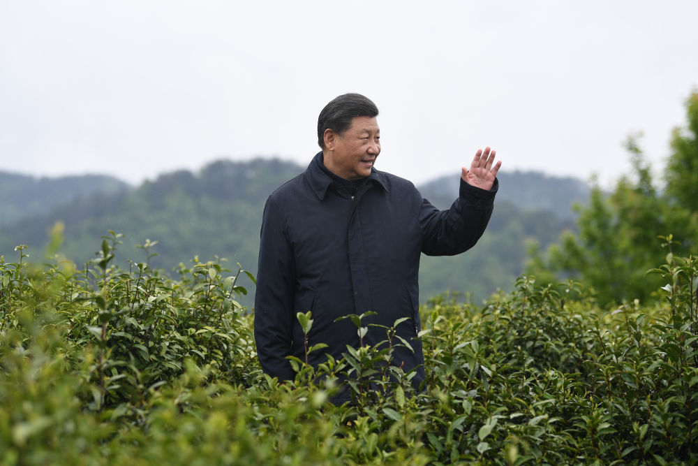 2020年4月21日，習(xí)近平總書記來到陜西安康市平利縣老縣鎮(zhèn)，在茶園考察脫貧攻堅(jiān)情況。新華社記者 燕雁 攝