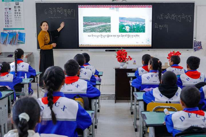 2024年9月27日，在四川省甘孜藏族自治州道孚縣城關(guān)第一完全小學(xué)，采取“藏加模式”教學(xué)的五年級(jí)一班的藏語文課上，準(zhǔn)木周老師指導(dǎo)藏族學(xué)生以家鄉(xiāng)草原風(fēng)物為主題寫作藏語文作文。新華社記者 沈伯韓 攝